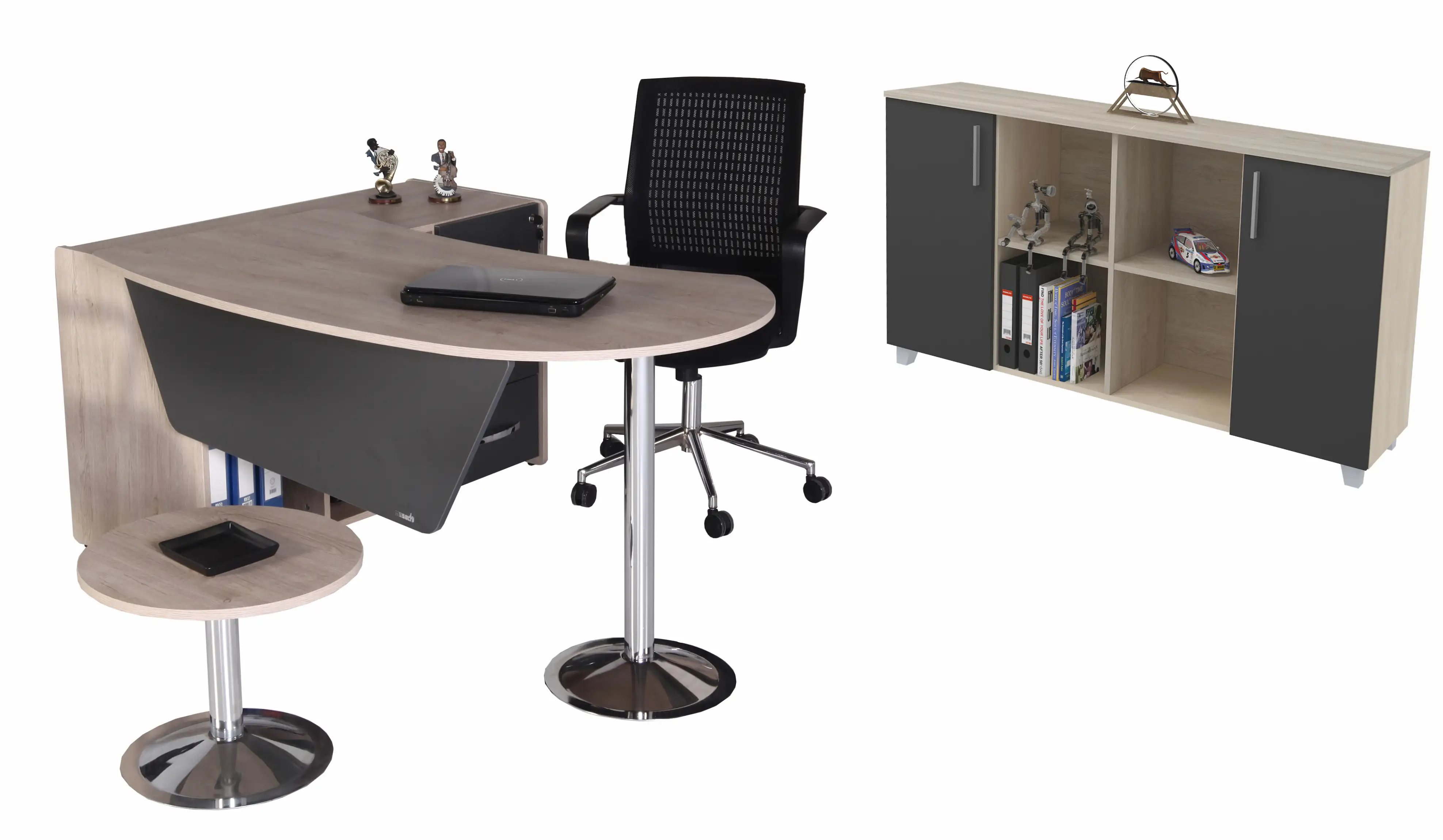 Director Office with Ekol Shelves left/ right