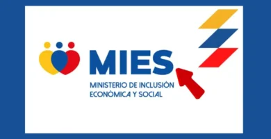 Mies